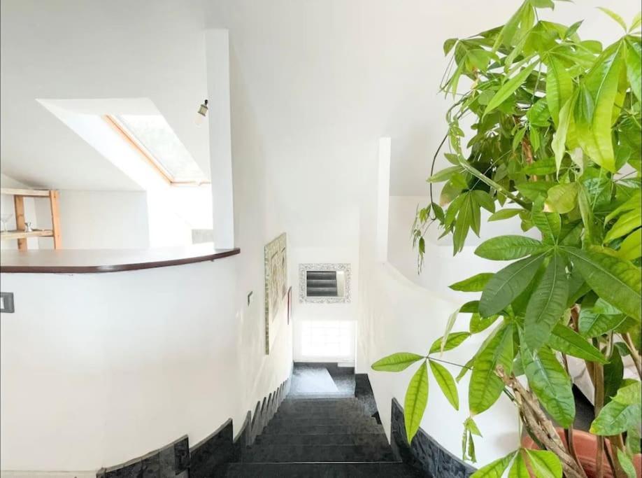 Mansarda Vista Mare A Zinola Apartamento Savona Exterior foto
