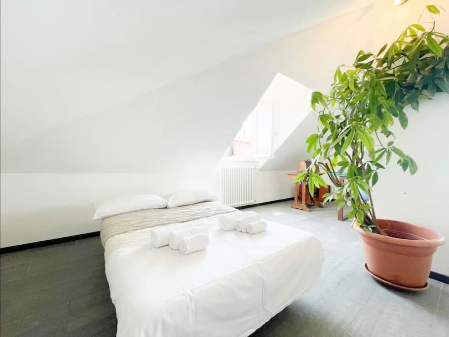 Mansarda Vista Mare A Zinola Apartamento Savona Exterior foto